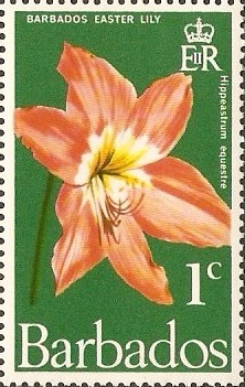 Barbados 1970 1c Flowers Series. SG419.