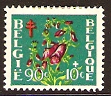Belgium 1950 Anti-TB Stamp. SG1328.
