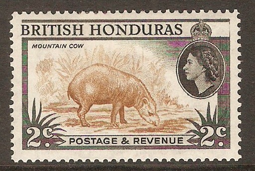 British Honduras 1953 2c Yellow-brown and black. SG180.
