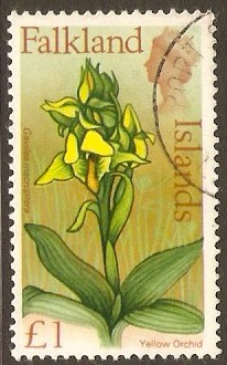 Falkland Islands 1968 1 Flowers Series. SG245.