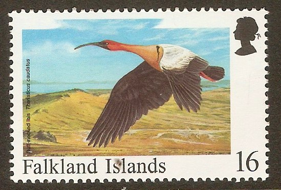 Falkland Islands 1998 11p Rare Birds series. SG809.