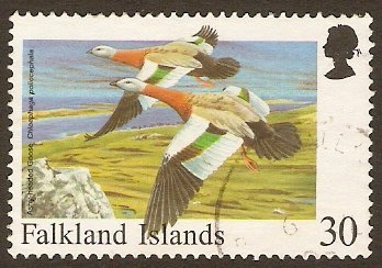Falkland Islands 1998 30p Birds Series. SG810.