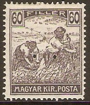 Hungary 1920 60f Black. SG377.