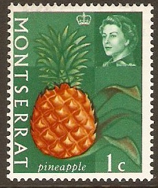 Montserrat 1965 1c Fruits and Vegetables Series. SG160.