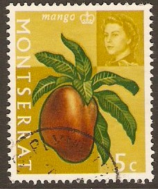 Montserrat 1965 5c Mango Stamp. SG164.