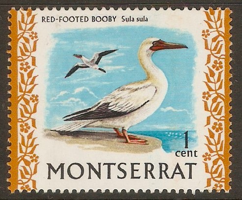 Montserrat 1970 1c Birds series. SG242.