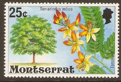 Montserrat 1976 25c Flowering Trees Series. SG378.