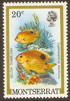 Montserrat 1981 20c Fish Series. SG493.