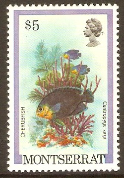 Montserrat 1981 $5 Fish Series. SG503.