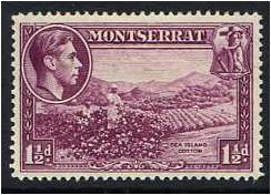 Montserrat 1938 1½d Purple. SG103a.