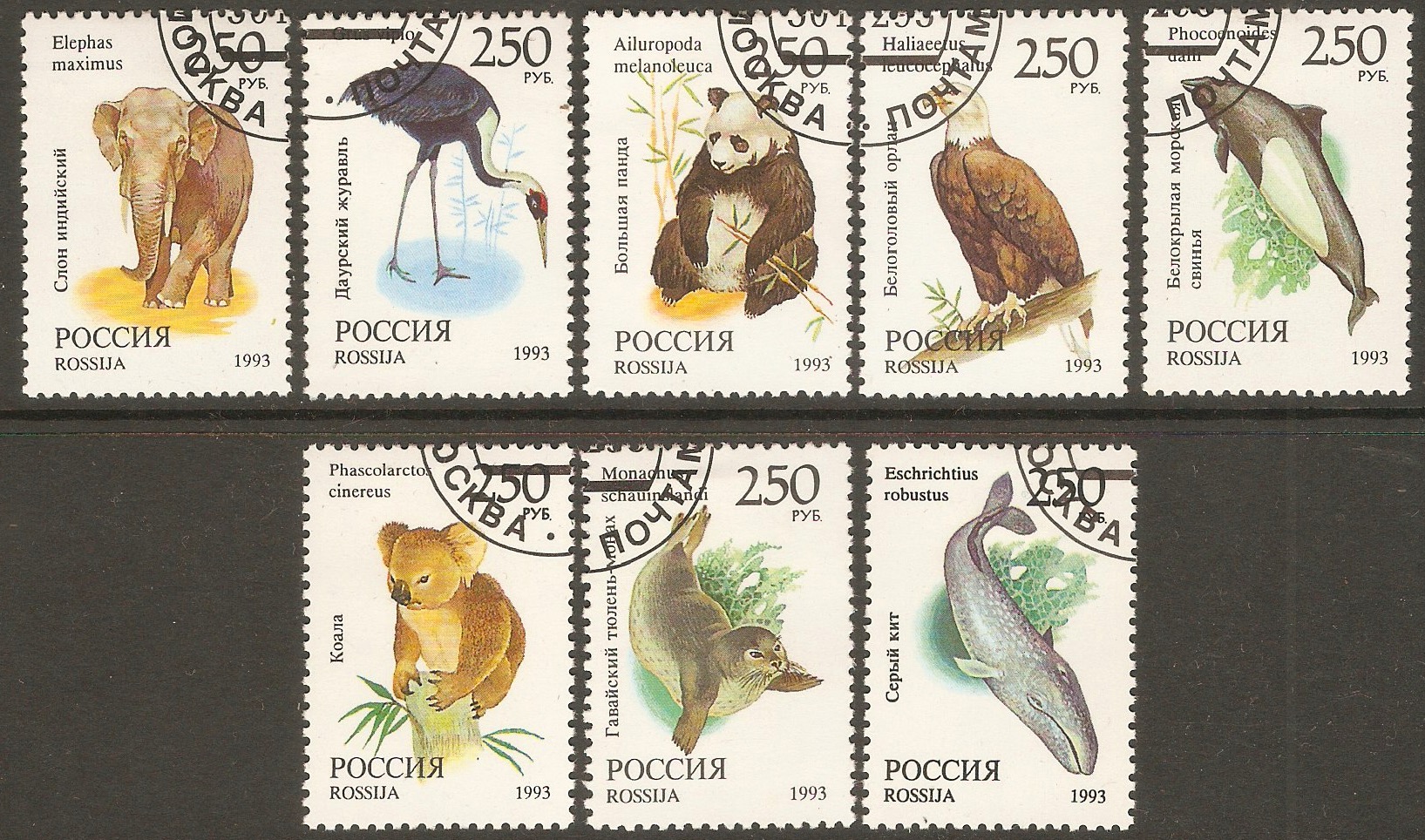 Russia 1993 Animals set. SG6449-SG6456.