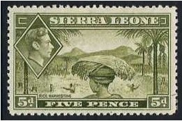 Sierra Leone 1938 5d Olive-green. SG194.