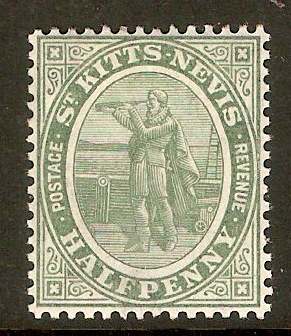 St. Kitts-Nevis 1905 d Grey-green. SG12.