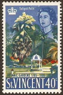 St. Vincent 1965 40c Tailpot Palm stamp. SG228.