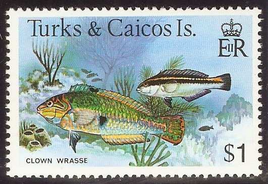 Turks and Caicos 1978 $1 Fishes Series. SG526A.