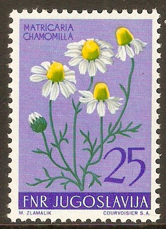 Yugoslavia 1955 25d Floral series. SG796