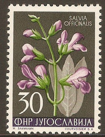 Yugoslavia 1955 30d Floral series. SG797.