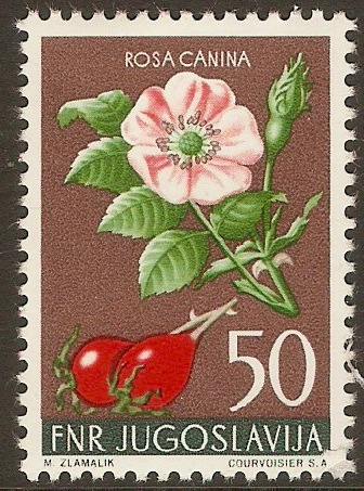Yugoslavia 1955 50d Floral series. SG798