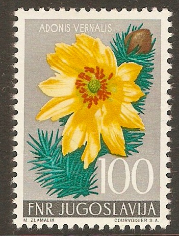 Yugoslavia 1955 100d Floral series. SG800.